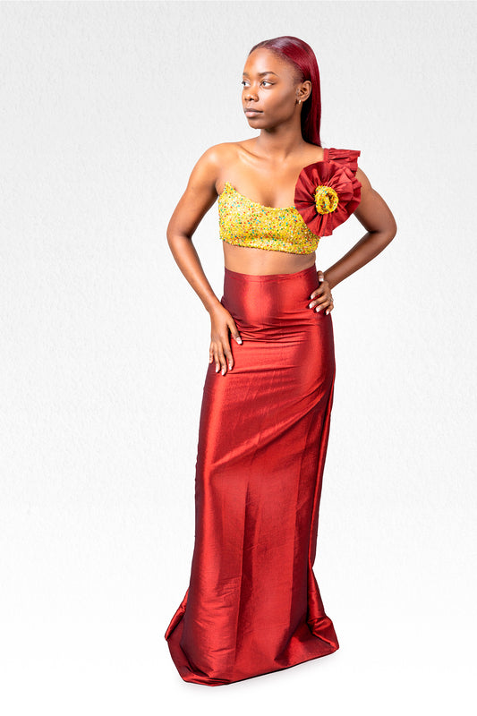 Elegant Two-Piece Burgundy Dress Set with Gemstone Details